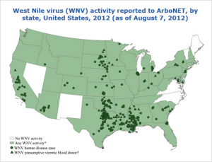 West Nile Virus incidence August 2012